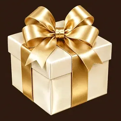 Ribboned gift box — SuperSpin