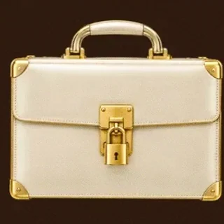 Locked leather briefcase — SuperSpin